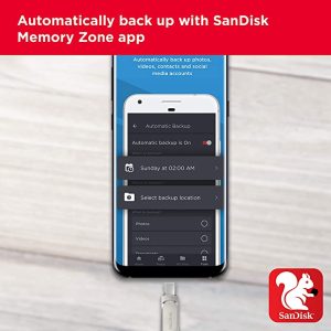 SanDisk Ultra Dual Drive Luxe USB Type C 1TB Flash Drive (Silver, 5Y – SDDDC4-1T00-I35)